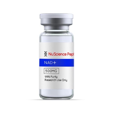 NAD+ Peptide – 500mg NAD+ Peptide – 500mg